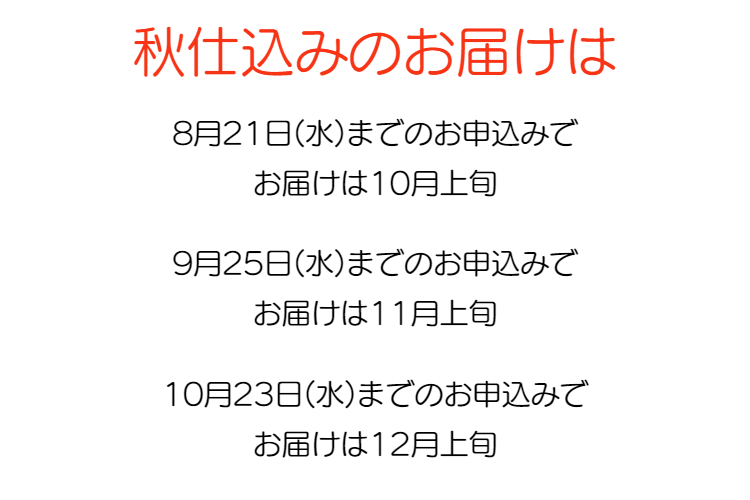 これは旨い。ひんぎゃの塩で握ったおにぎり