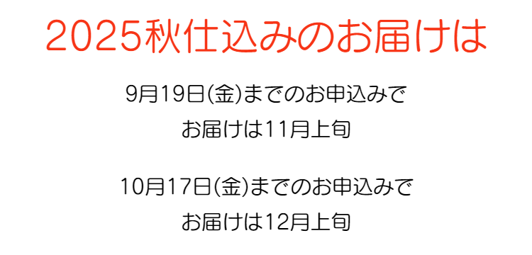 これは旨い。ひんぎゃの塩で握ったおにぎり