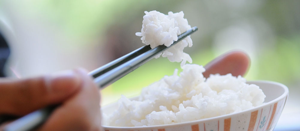 ご飯をお箸で