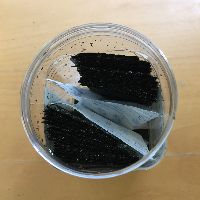 ボトルに乾燥剤を入れている